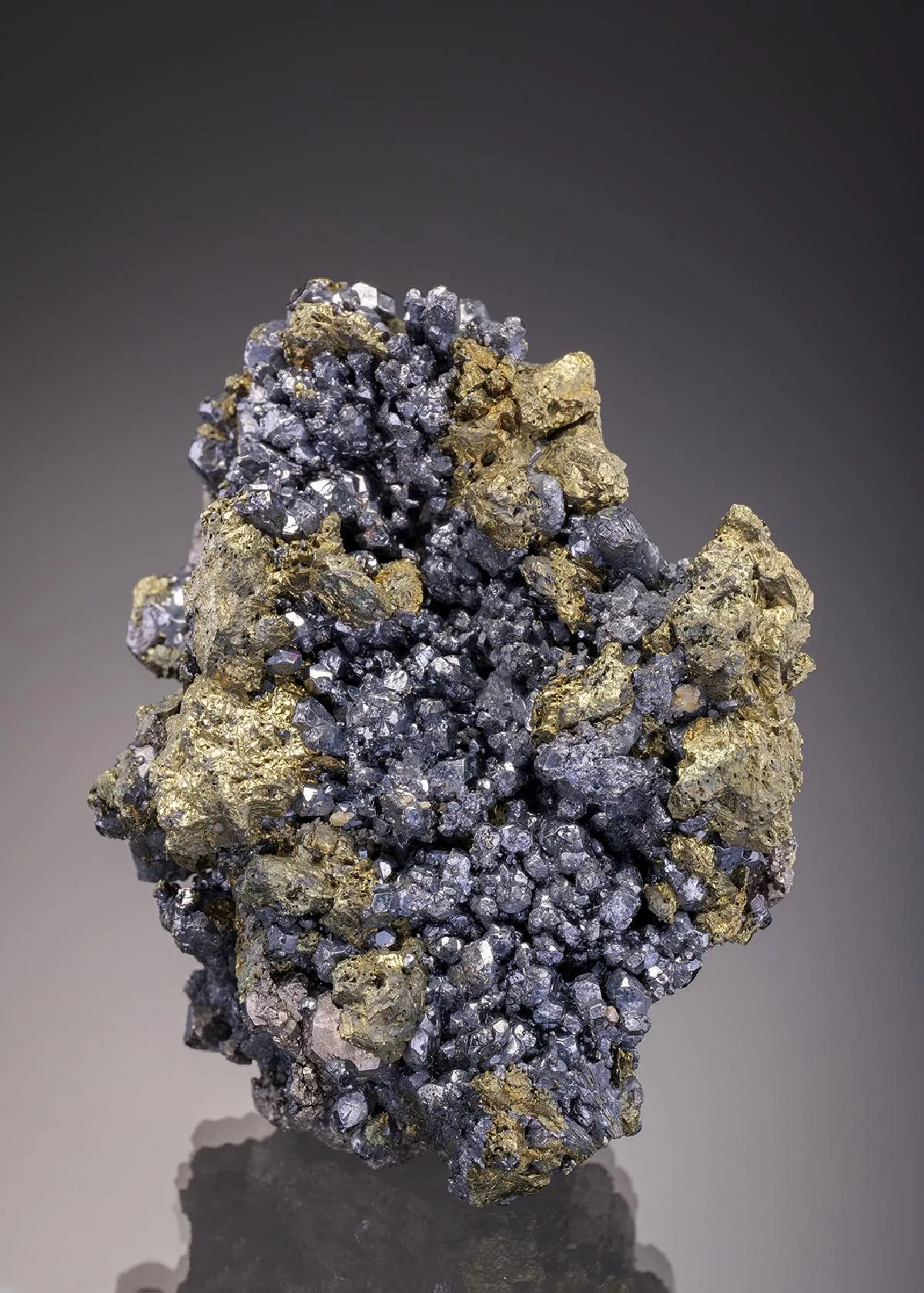 Linnaeite with Millerite Chalcopyrite and Galena - image 1