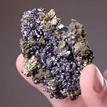 Linnaeite with Millerite Chalcopyrite and Galena