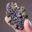 Linnaeite with Millerite Chalcopyrite and Galena - image 2