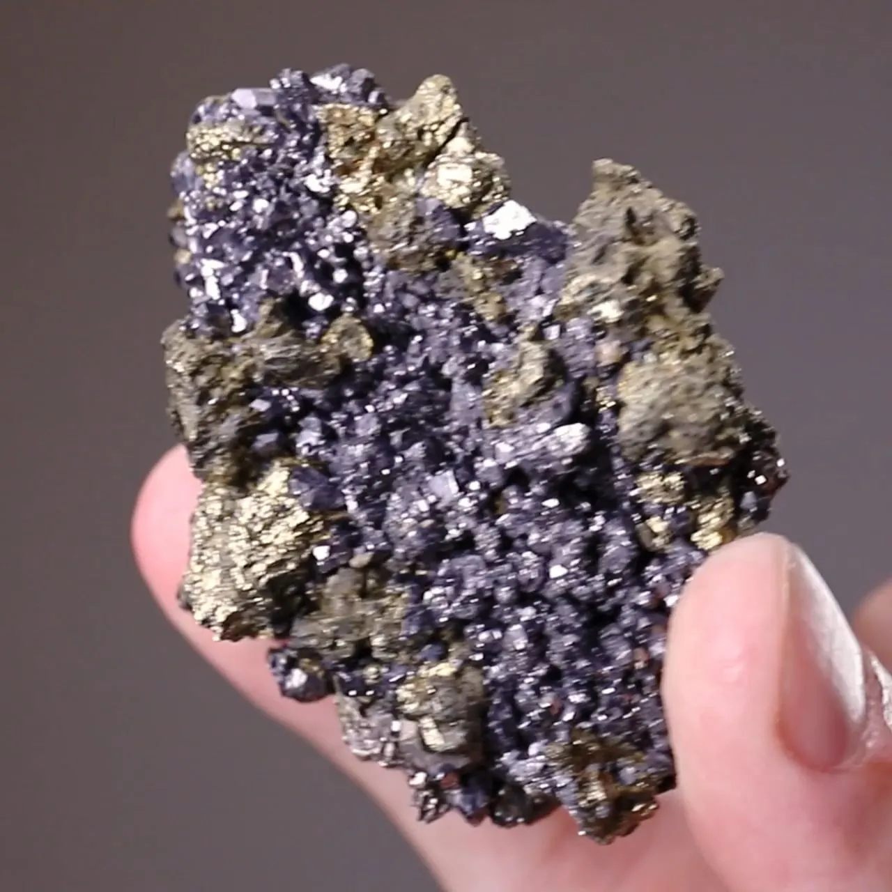 Linnaeite with Millerite Chalcopyrite and Galena - image 2