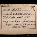 Liroconite (TL) with Turquoise var. Henwoodite - image 3