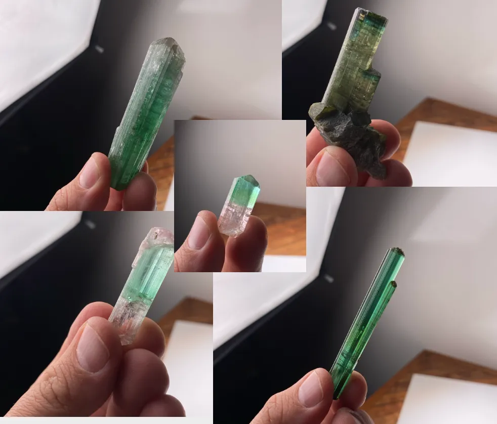 Live Show - 22s - image 1