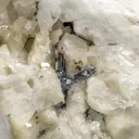 LIVEINGITE with Dolomite - image 1