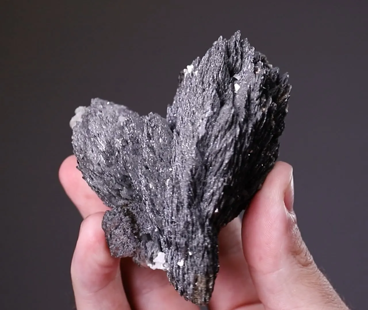 LÖLLINGITE with Arsenopyrite - image 2