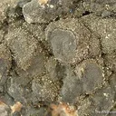 Lollingite on Dyscrasite & Arsenic - image 3
