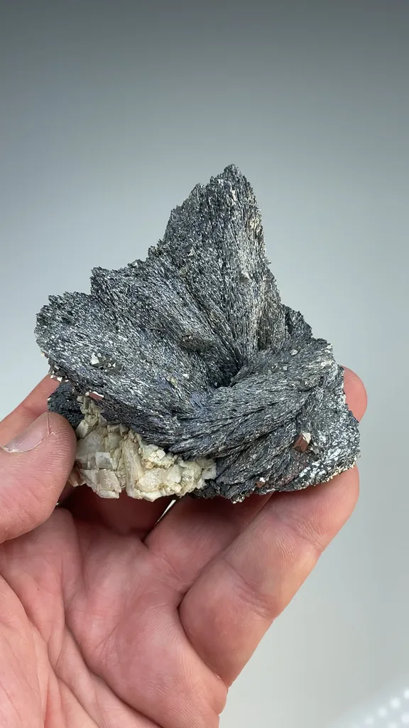 Lollingite with Arsenopyrite, Calcite - image 2