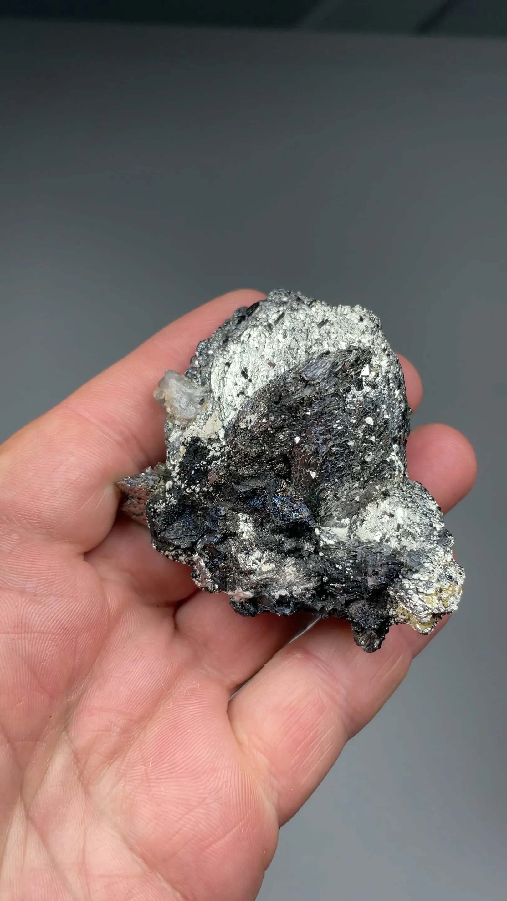 Lollingite with Arsenopyrite, Magnetite - image 2