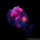 Lollingite with Calcite and Fluorite - image 7