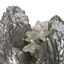 Lollingite With Quartz - image 2