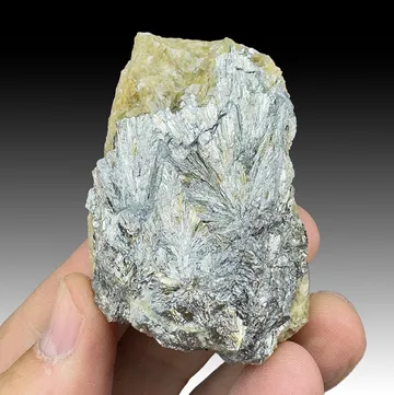 Lollingite with Siderite