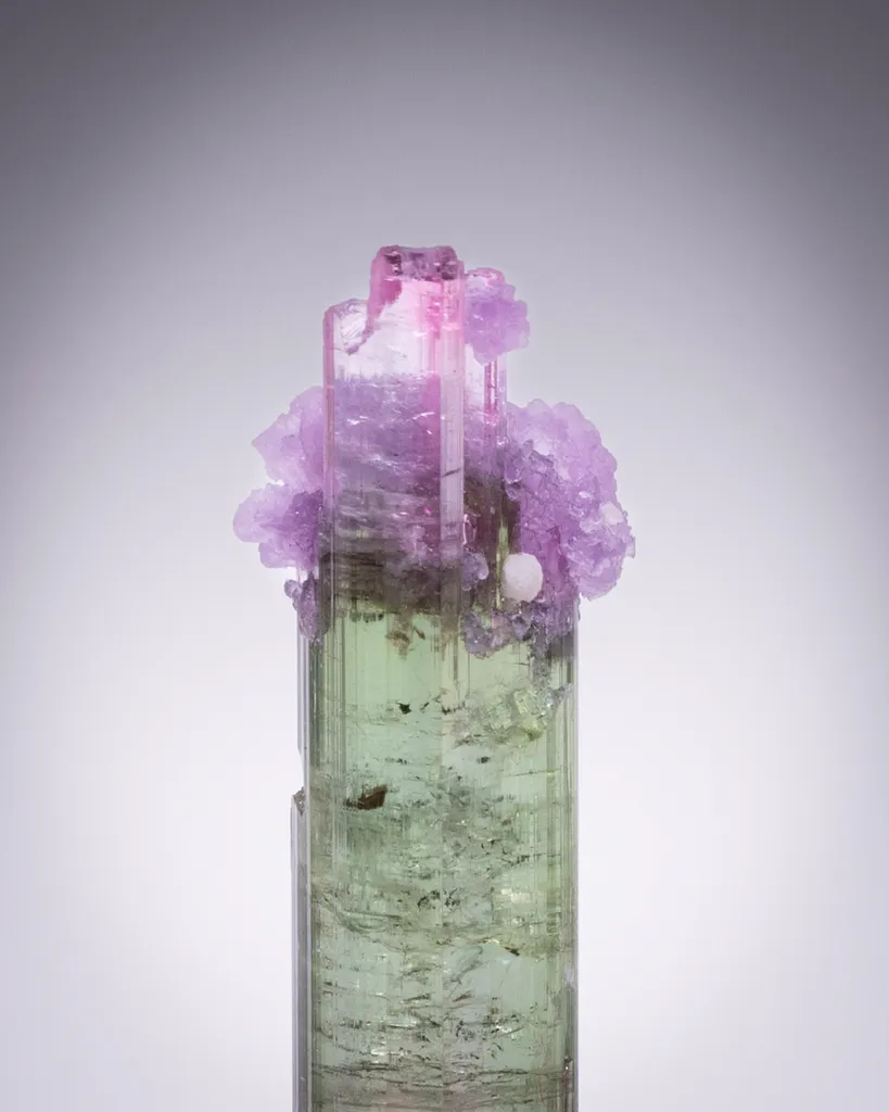 Lollipop Tourmaline from Brazil, Aricanga mine - image 2