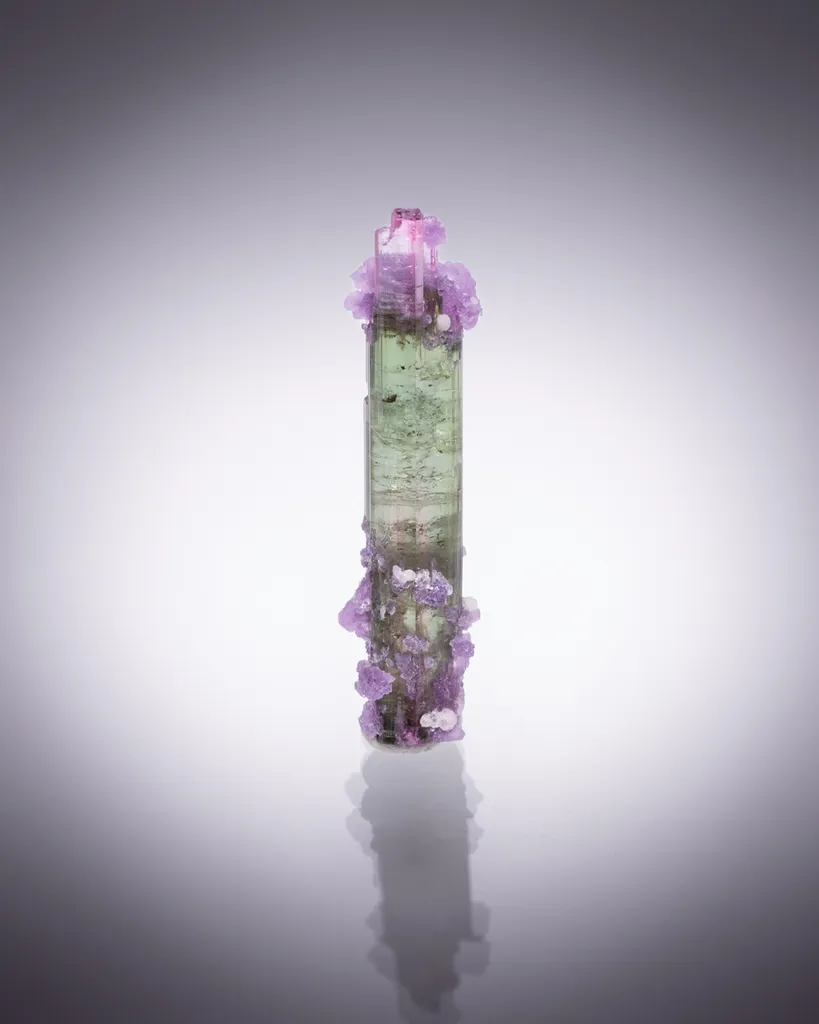 Lollipop Tourmaline from Brazil, Aricanga mine image