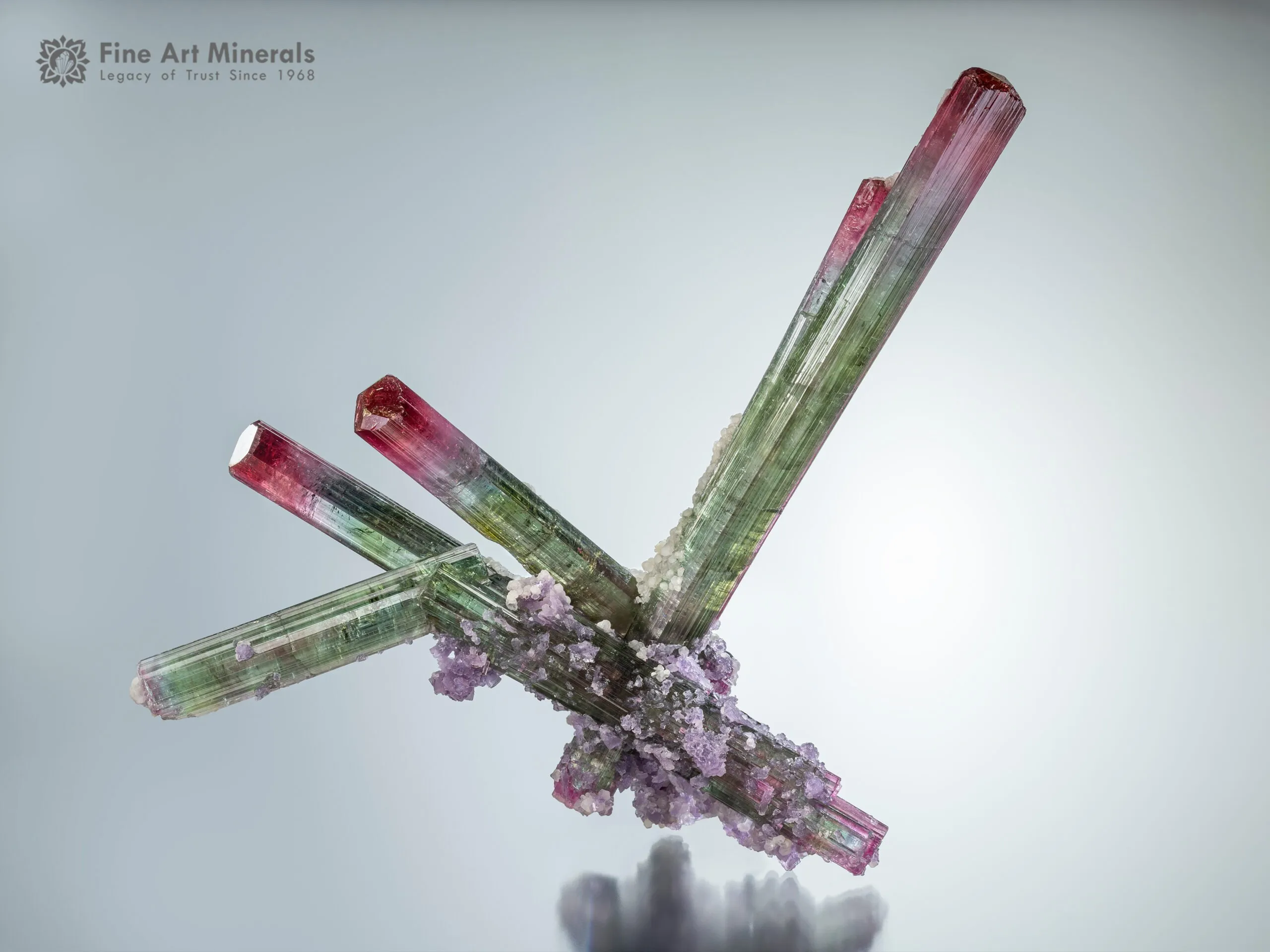 Lollipop Tourmaline with Lepidolite from Brazil - image 1