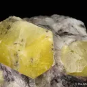 Londonite, Elbaite, Quartz, Albite - image 2