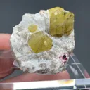 Londonite from Antsahanana quarry - image 2