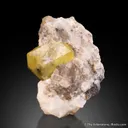 Londonite on Feldspar - image 4