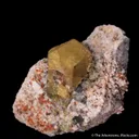 Londonite on Microcline - image 4