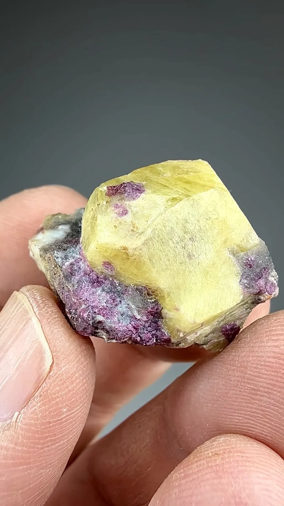 Londonite with Elbaite - image 2