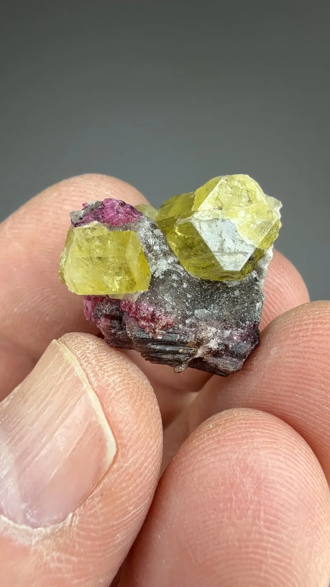 Londonite with Elbaite - image 2