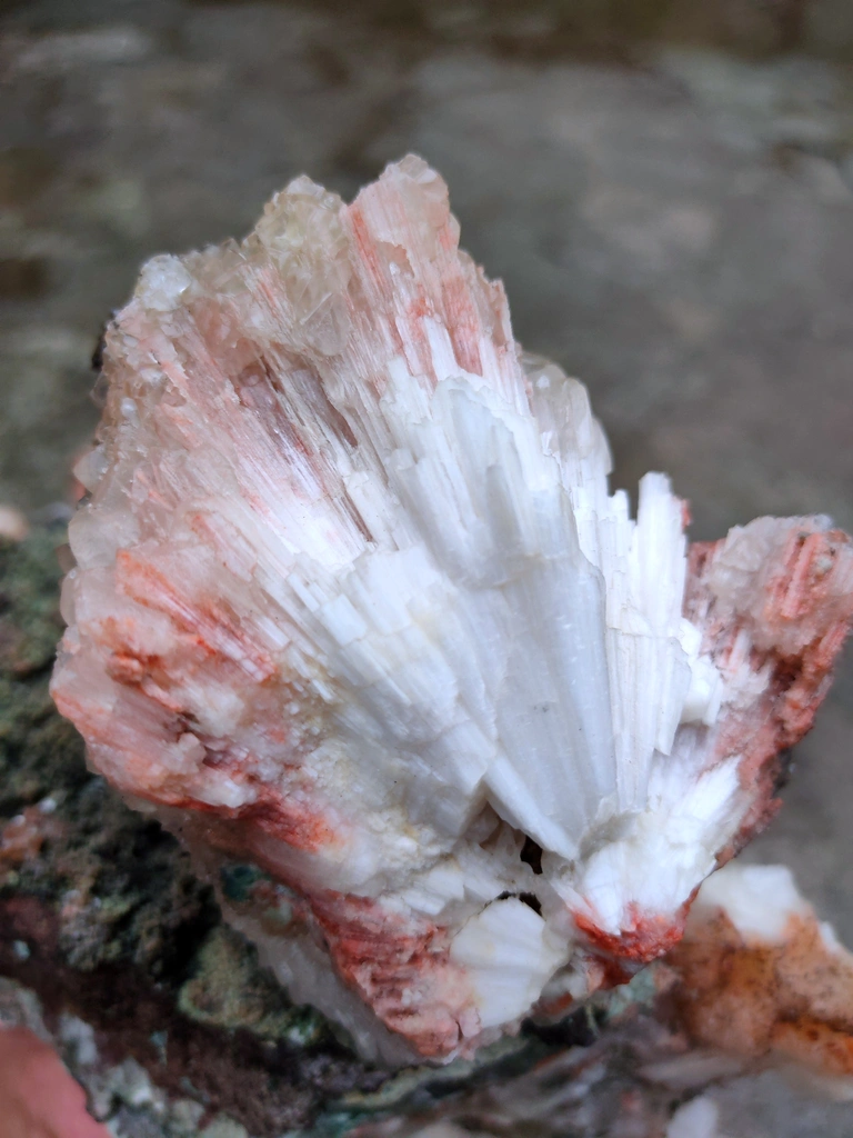 Look like Duck. Black Calcite with Orange Stilbite and Scolecite. Natural mineral Specimen - image 5