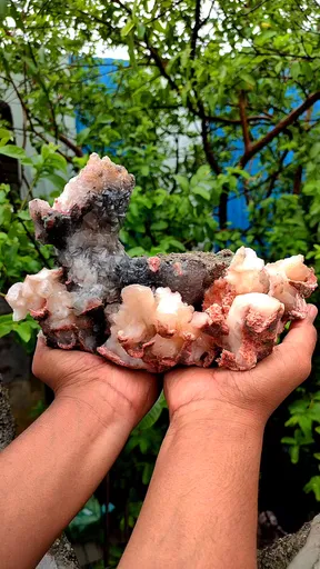 specimen video