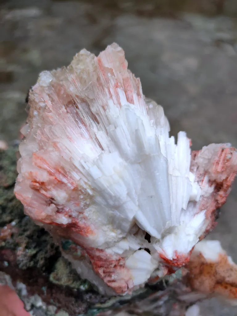 Look like Duck. Black Calcite with Orange Stilbite and Scolecite. Natural mineral Specimen - image 5