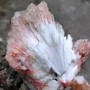 Look like Duck. Black Calcite with Orange Stilbite and Scolecite. Natural mineral Specimen - image 5