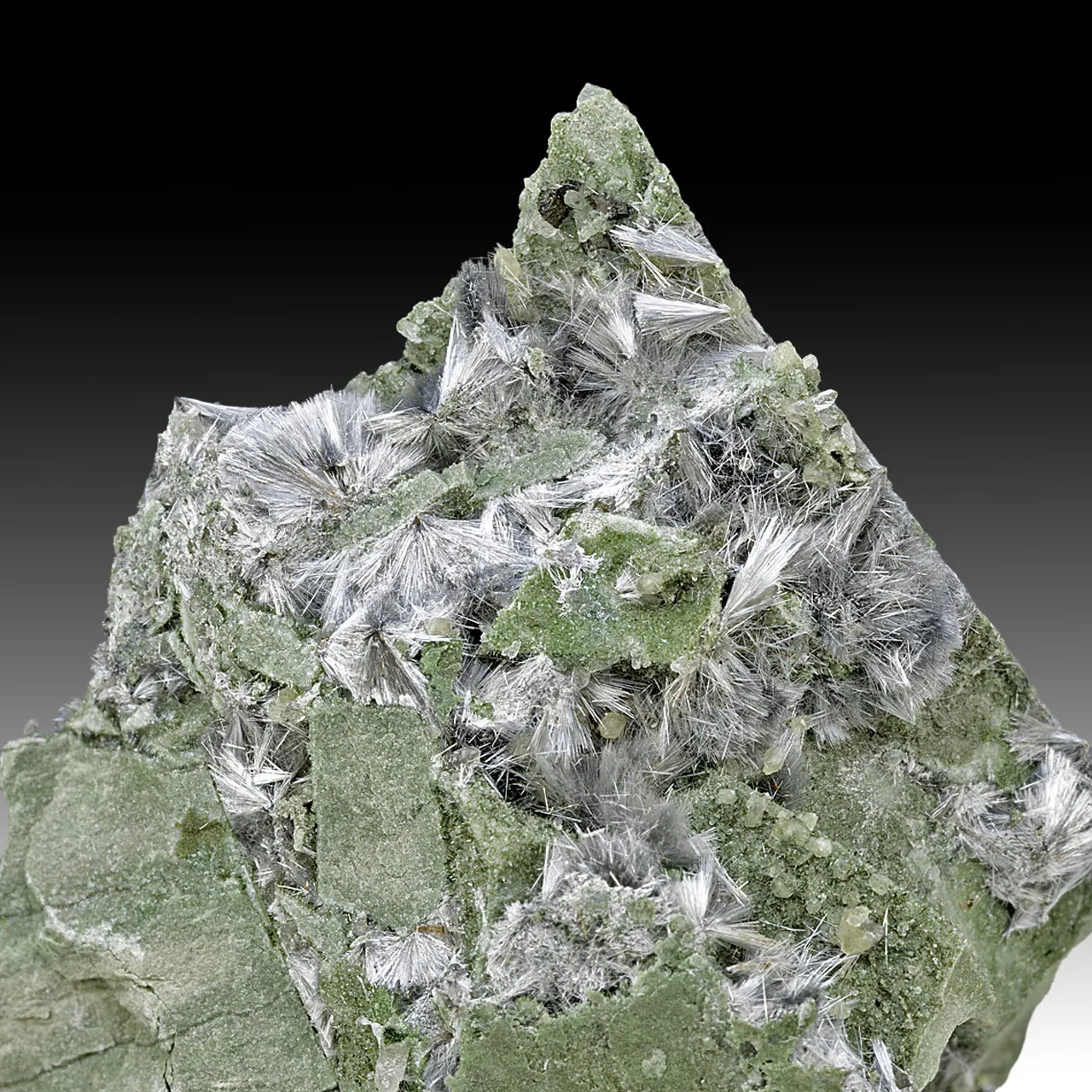 Lorenzenite - image 1