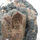 Lorenzenite - image 2