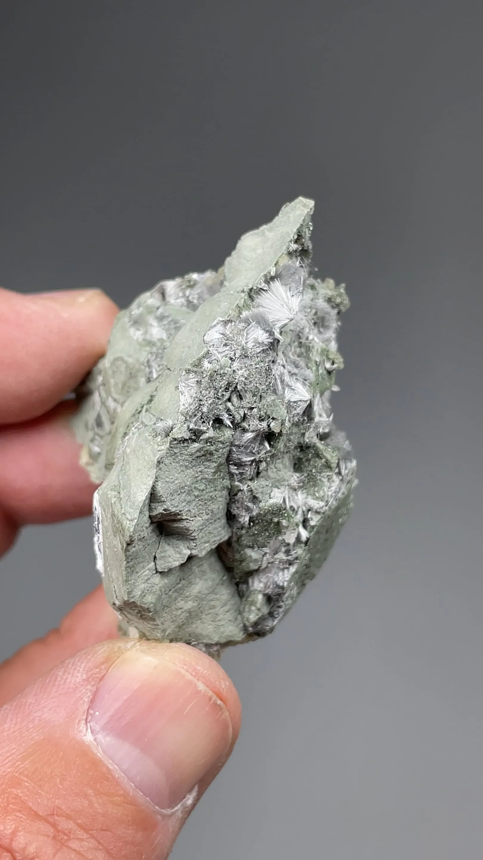 Lorenzenite - image 2