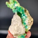 ltra UV Reactive Rare Sodalite on Matrix Specimen, Sodalite with Combination of Pyrite and Tantalite - image 4