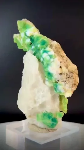 specimen video