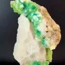 specimen video