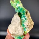 ltra UV Reactive Rare Sodalite on Matrix Specimen, Sodalite with Combination of Pyrite and Tantalite - image 3