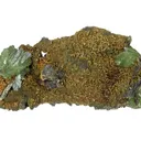 Ludlamite - image 1