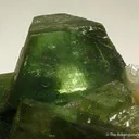 Ludlamite - image 2
