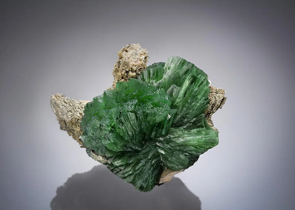 Ludlamite image