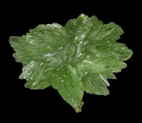 Ludlamite image