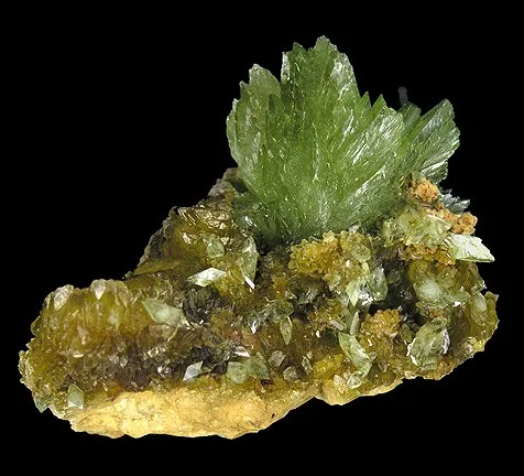 Ludlamite image