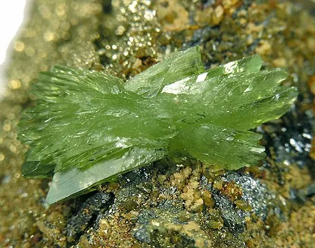 Ludlamite - image 2