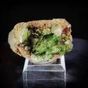 specimen video
