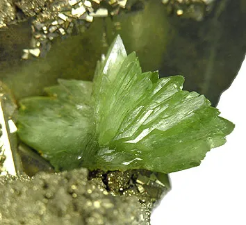 Ludlamite image