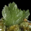 Ludlamite - image 2