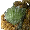 Ludlamite - image 2