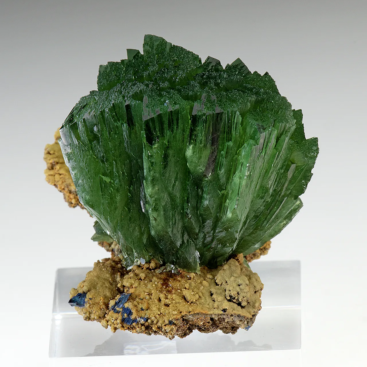 Ludlamite - image 1