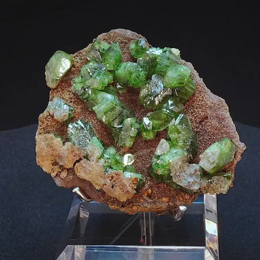 specimen video