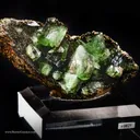 Ludlamite - image 2