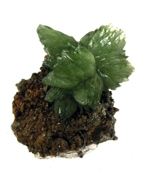 Ludlamite image
