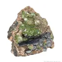 Ludlamite and Vivianite - image 4