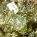 Ludlamite - image 3
